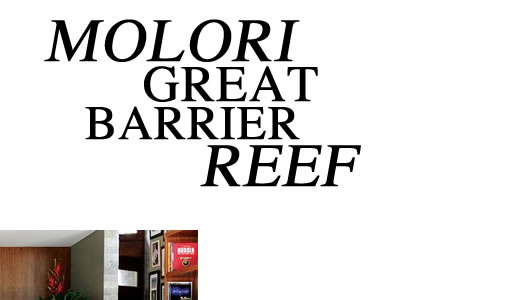 MOLORI GREAT BARRIER REEF