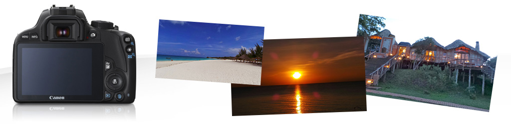 The Glare - Travel Information to Destinations Around the World - A Safari In Africa